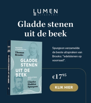 Gladde stenen uit de beek