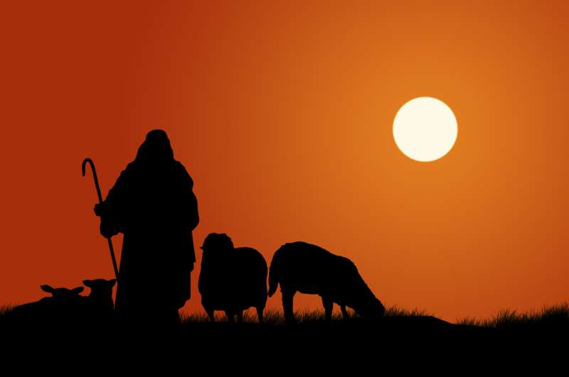 De goede Herder schenkt Zijn schapen het eeuwige leven