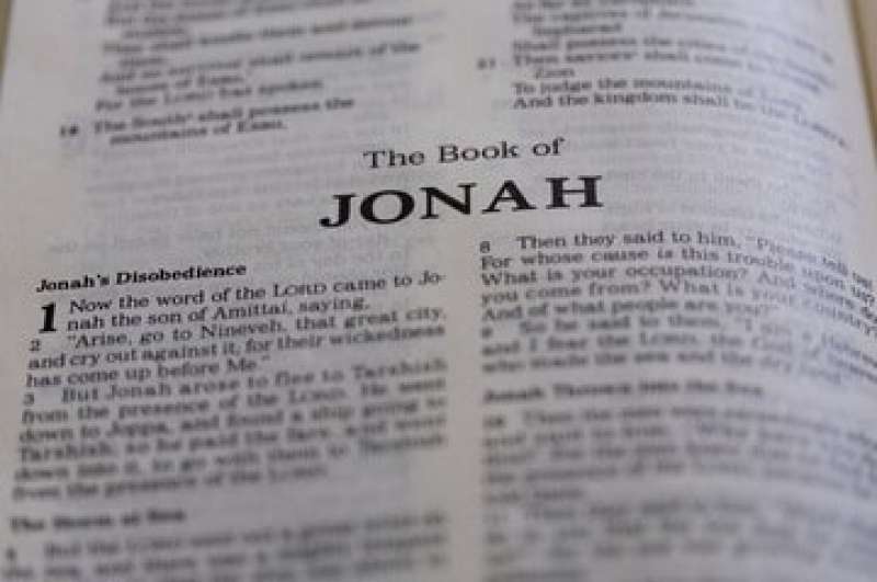Jona roept tot God