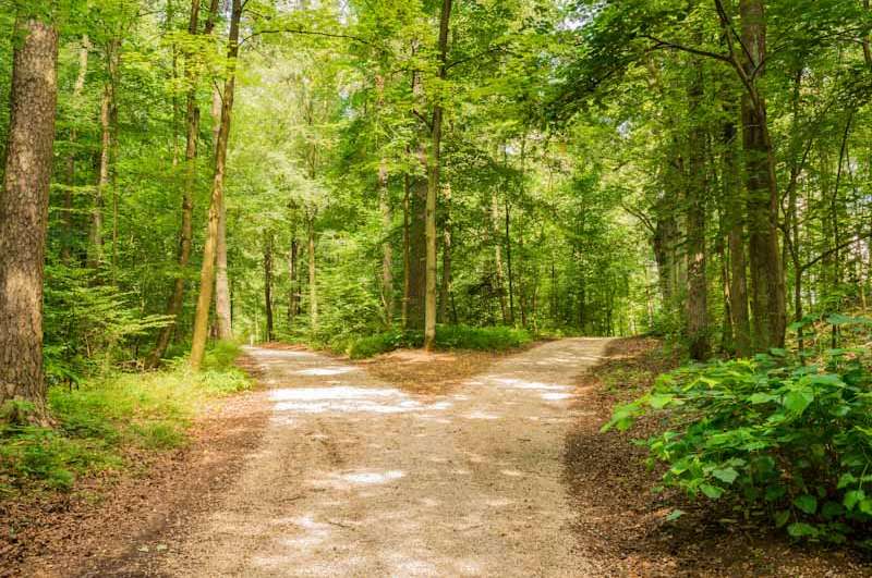 Met wijsheid wandelen bij degenen die buiten zijn