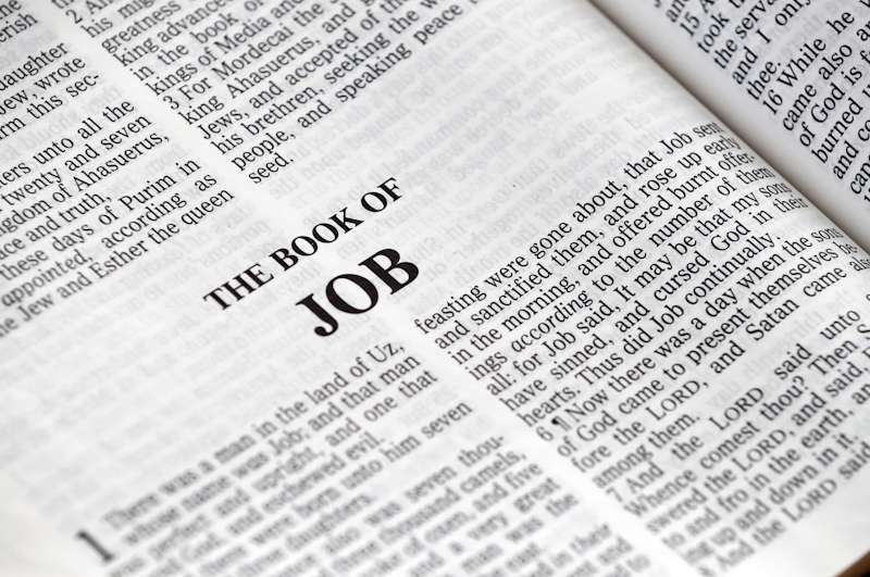 Vreest Job God om loon?