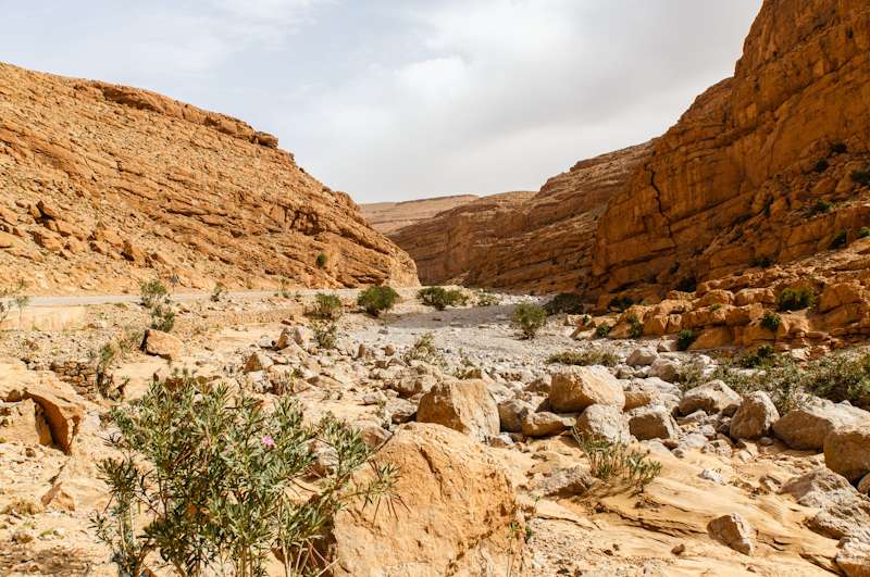 De Heere Jezus ook verzocht door de duivel.