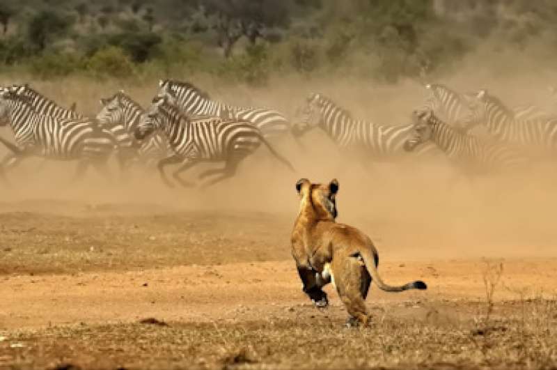 De Heere Jezus vergeleken met Be&euml;lzebul