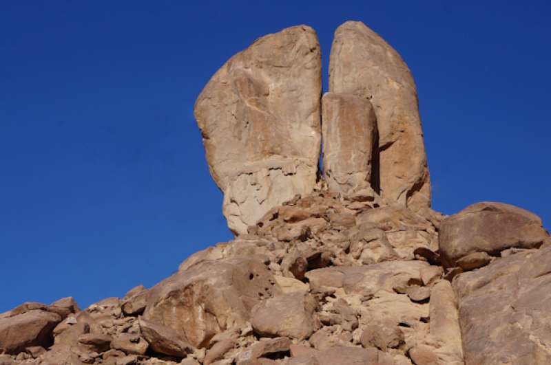 1.	 Verbondsvernieuwing