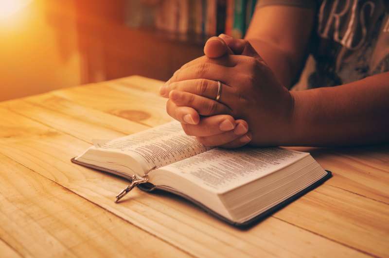 Zijn vrucht is mijn gehemelte zoet.